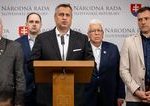 SNS odmieta zmenu ustavy a chce jeden volebny obvod