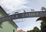 V Bojnickej zoo sa narodili mladata pandy a rysa