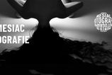 35 Mesiac fotografie pozyva na prvu vystavu s poeziou