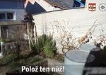 Policajti ukazali ako si poradili so zlodejom