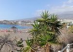 Po velkej vlne na pobrezi Tenerife hlasia tri obete a troch zranenych