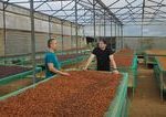 pripravene po rodinnej tabule az po kavove plantaze vo vietnam