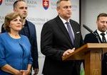 SNS zada okamzite odvolanie nacelnika Generalneho stabu Zmeka pre darovanie techniky