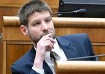 Michal Simecka vyzval Andreja Danka aby opustil vldnu koaliciu