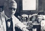 Nahodny objav ktory zmenil svet Alexander Fleming neplanoval revoluciu v medicine