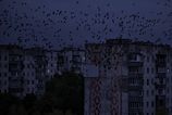 Ruske utoky odstihli od elektriny viac ako 200 tisic odberatelov v ukrajinskej Cernihivskej oblasti