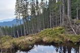 Ochrana ri objavili nove pliesko v Nizkych Tatrach na mieste kde sa stavia zjazdovka