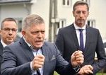Konzervativci maju poslednu sanchu porazit Smer Ak sa im to nepodari spoja sa s nim komentar Martina Behula