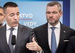 miliony na vyskum jadroveho odpadu prudia k sponzorovi hlasu sukromni partneri doteraz riesili len kozmetiku a stavebne zakazky