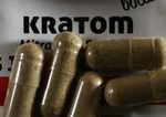 rekordny ulovok v cesku colnici v brne zaistili 800 kilogramov nelegalneho kratomu