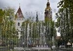 Mestske lesy v Kosiciach obmedzia oblbenu promenadu Orez nebezpecnych konarov uple zablokuje cestu