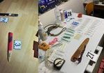 Policia rozlozila skupinu organizujucu nelegalne psie zapasy v troch krajoch