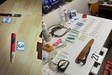 Policia rozlozila skupinu organizujucu nelegalne psie zapasy v troch krajoch