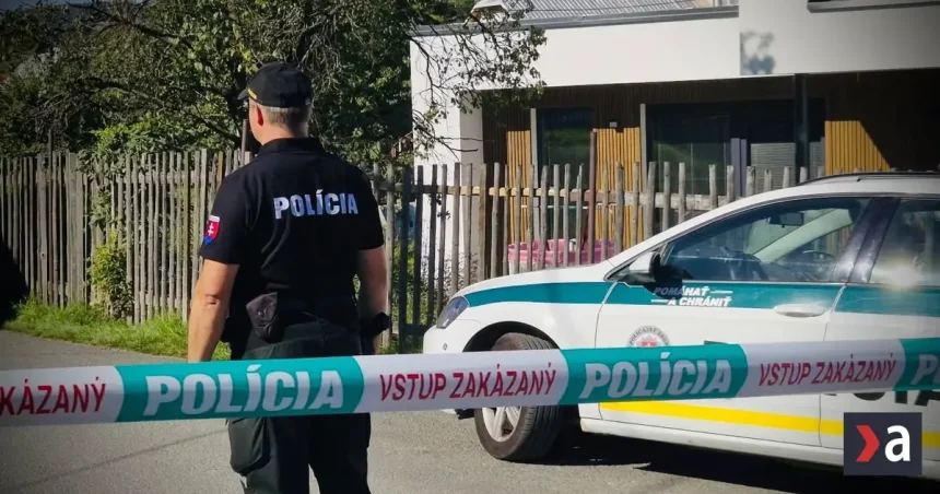 13-ročný útočník zo Staškova: Nemôžu ho obviniť ani poslať do väzby, čo s ním bude?
