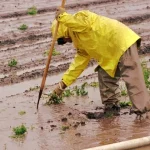 El Niño ohrozuje milióny detí v Latinskej Amerike, hrozí sucho a záplavy
