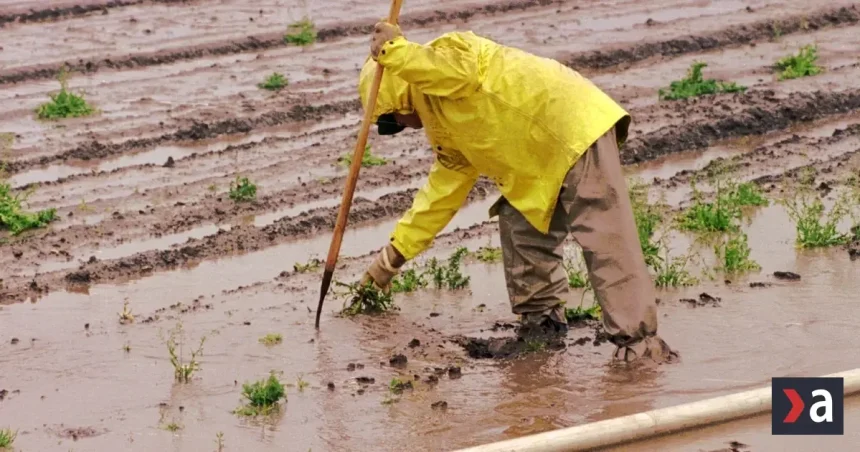 El Niño ohrozuje milióny detí v Latinskej Amerike, hrozí sucho a záplavy