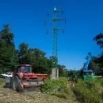 Najvyšší súd zamietol dovolanie štátu v kauze Pečnianskeho lesa, Lesy SR zvážia postup