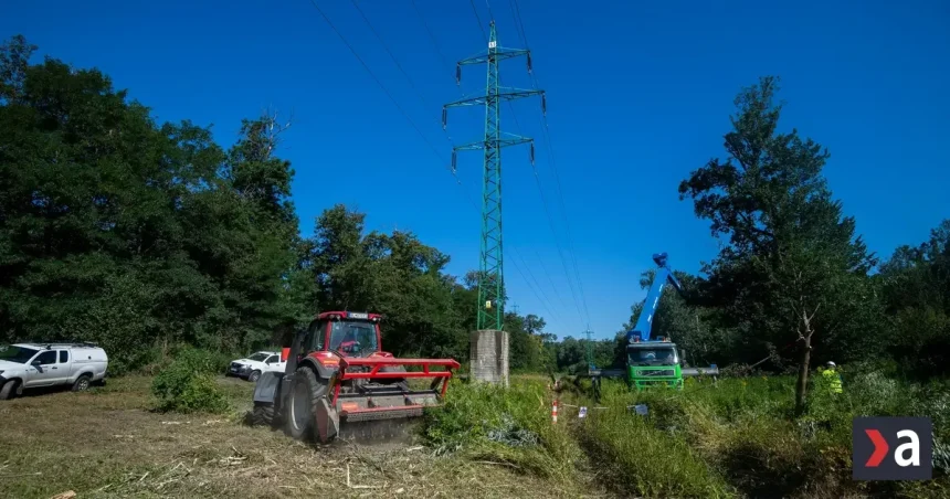 Najvyšší súd zamietol dovolanie štátu v kauze Pečnianskeho lesa, Lesy SR zvážia postup