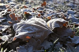 Nedeľné ráno môže priniesť mrazy, v siedmich krajoch platí výstraha