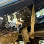 Ruský dron zasiahol ukrajinský minibus pri Nikopole, o život prišlo päť civilistov