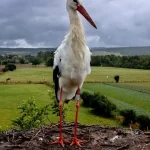 Dážď počas noci zasiahne mnohé regióny, cez deň už len východ