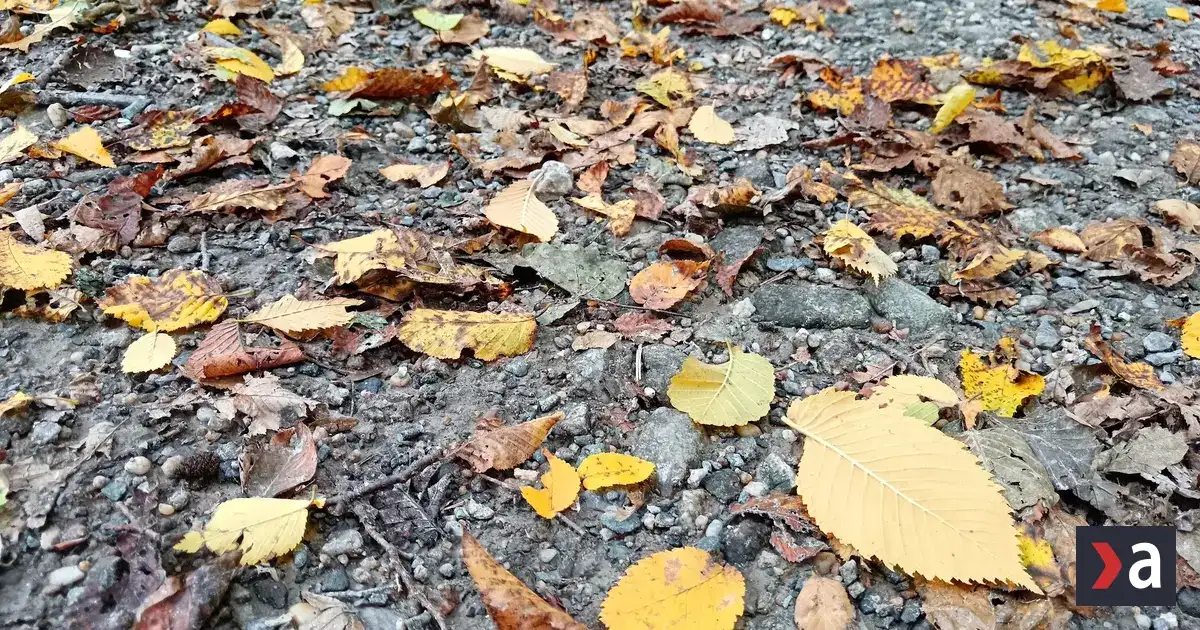 Na východe Slovenska hrozia v nedeľu zrážky, sever bude chladnejší