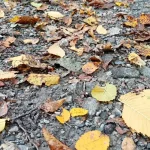 Ochladenie ukončí letné teploty, ktoré počas týždňa pripomínali leto