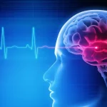 Poľská neurologička prezrádza, čo robiť pre bystrú myseľ. Radí štyri železné pravidlá