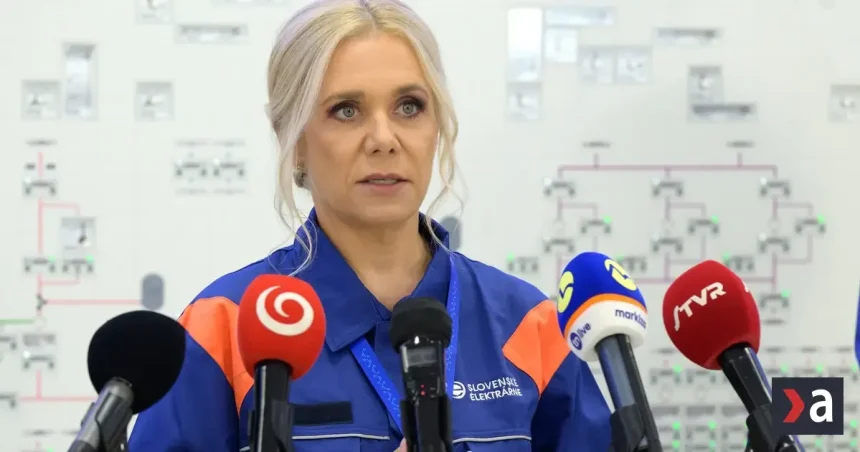 Štát rokuje so Slovenskými elektrárňami o cene elektriny okolo 79 eur