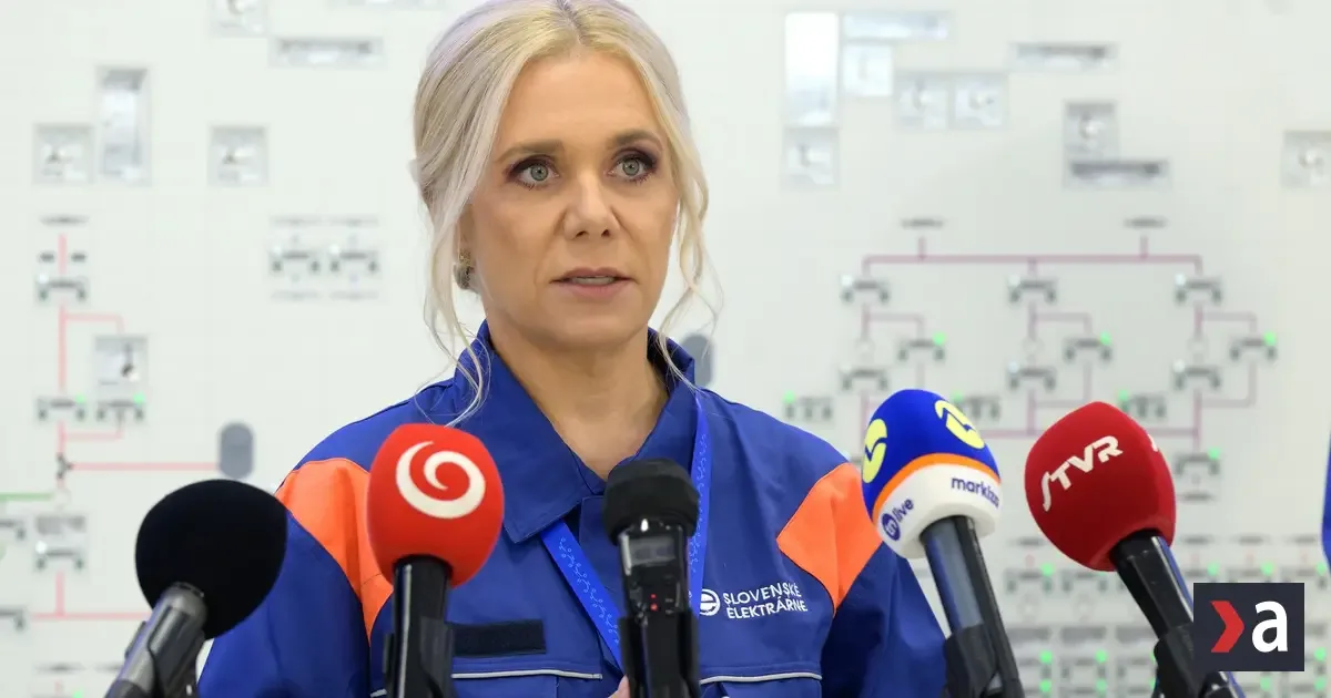 Štát rokuje so Slovenskými elektrárňami o cene elektriny okolo 79 eur