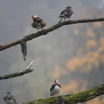 Štvrtok bude v znamení prudkého ochladenia, dažďa a snehu na horách