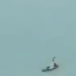 Štyria piloti zahynuli pri zrážke dvoch vojenských lietadiel na Filipínach