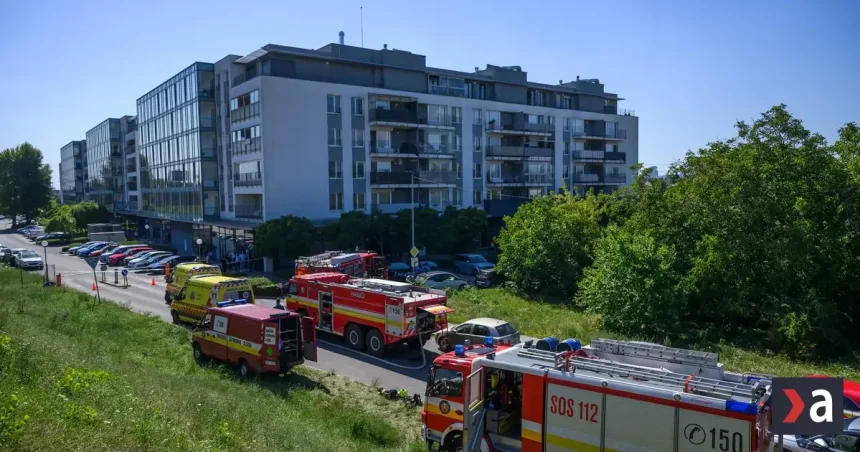 Tragédia v Ružinove má verdikt: Ivana F. dostal za úkladnú vraždu dvoch detí 19 rokov