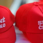 V Česku sa skončilo druhé kolo senátnych volieb, komisie sčítavajú hlasy